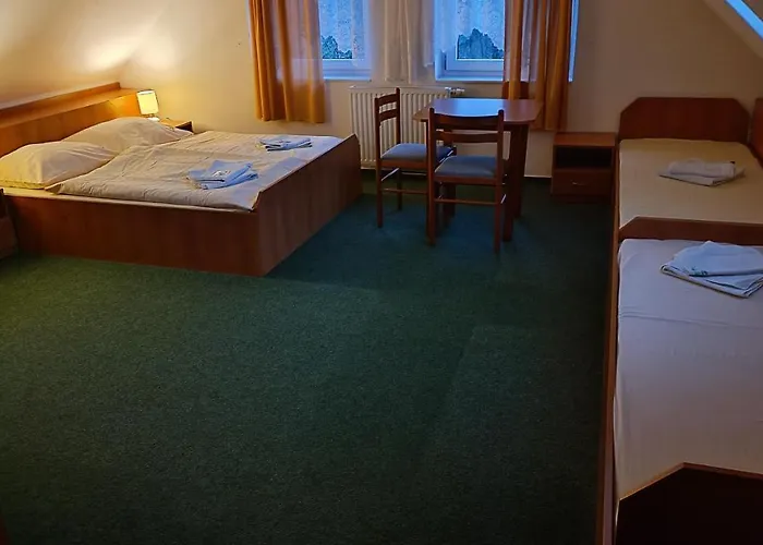 Pensjonat Velky Rybnik 3*